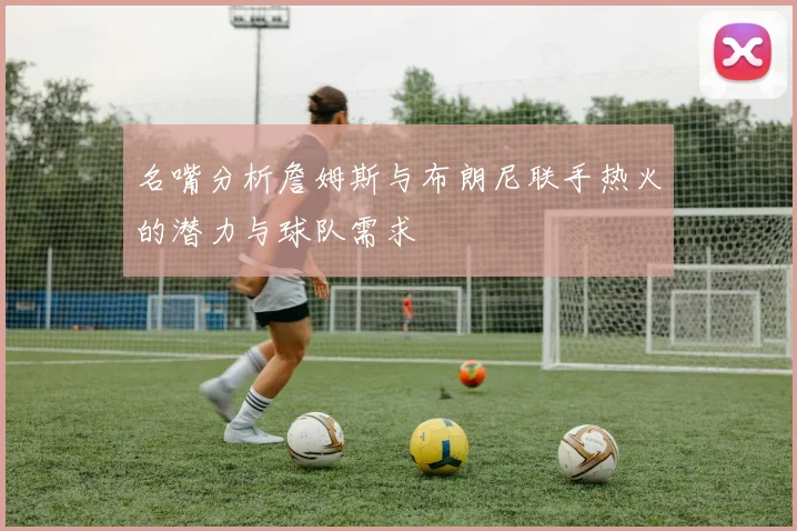 名嘴分析詹姆斯与布朗尼联手热火的潜力与球队需求
